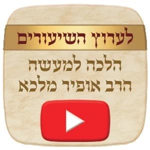 שיעורים ביוטיוב